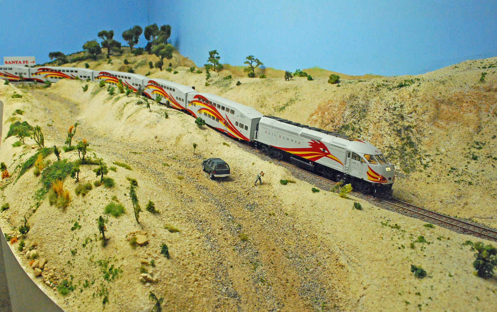 Railrunner in high desert
